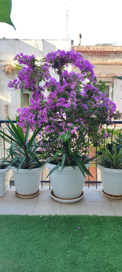 Giambattista House Bari Hotel Eksteriør billede